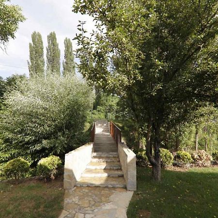 Brvnare Ala Vrdnik Villa Kültér fotó